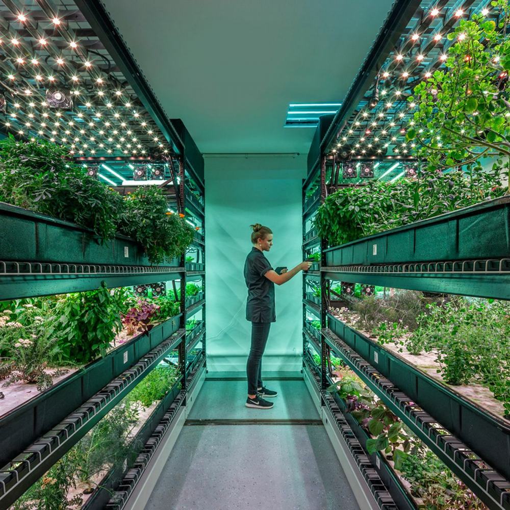 Biological Green houses  Sunroom (1)