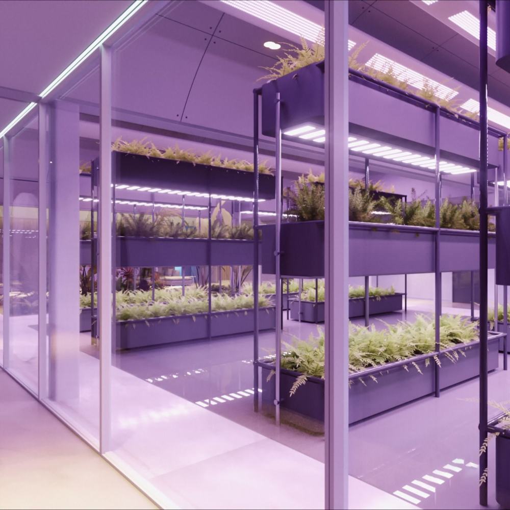 Biological Green houses  Sunroom (4)