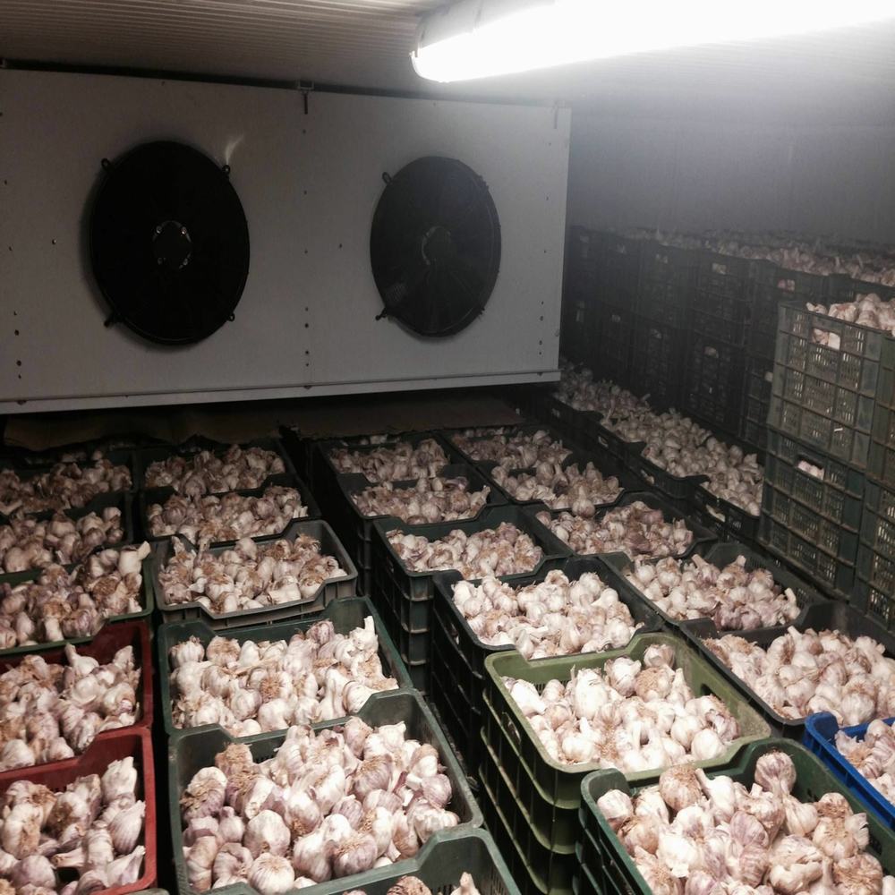 Cold Storage Rooms for Vegetables and Fruits (1)