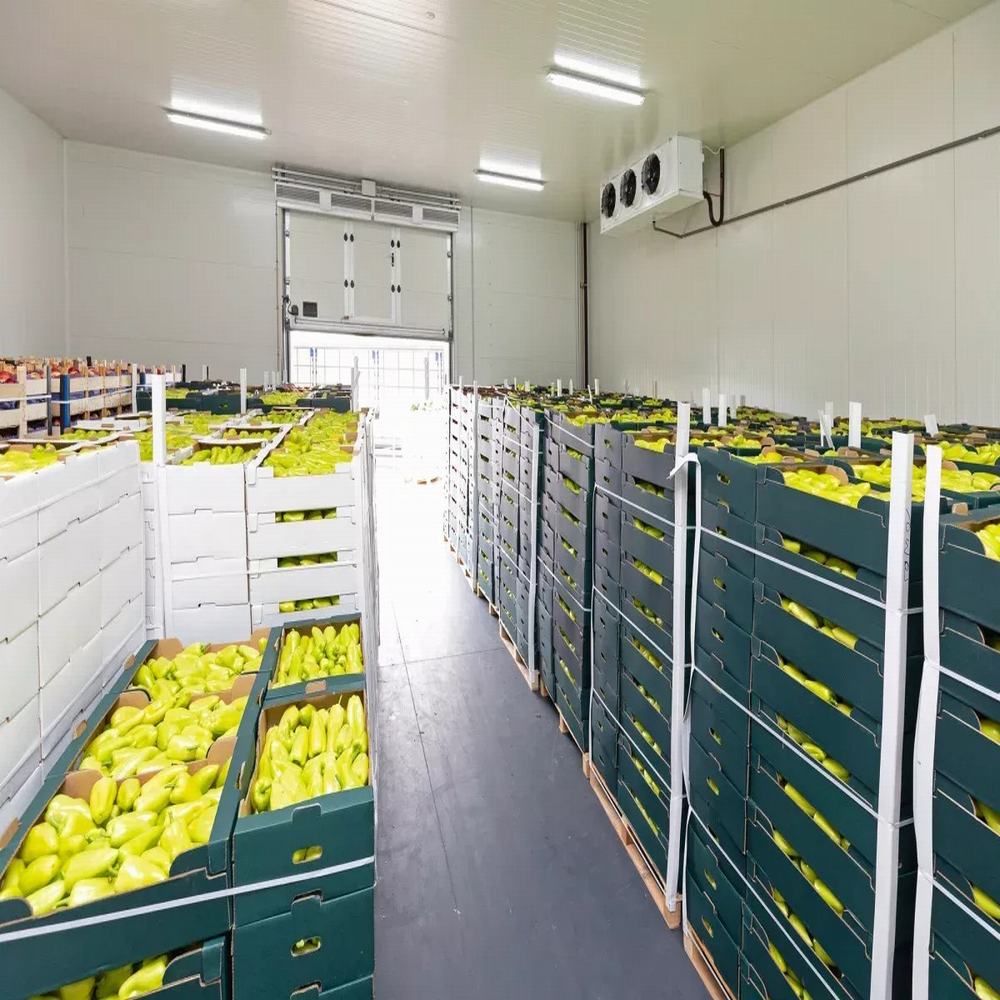 Cold Storage Rooms for Vegetables and Fruits (3)