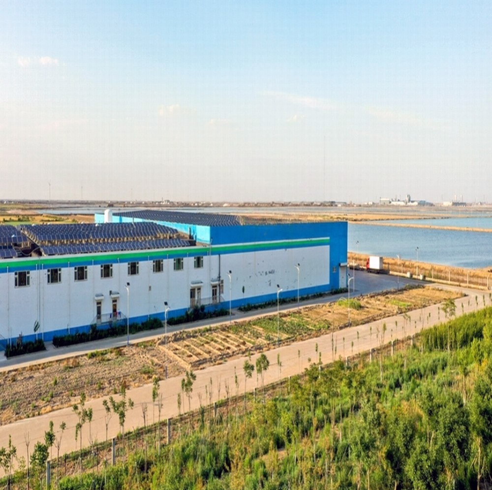 Light Steel Structure Food Processing Factory (5)