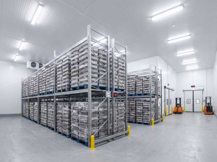 Seafood_blast_freezing_storage_room