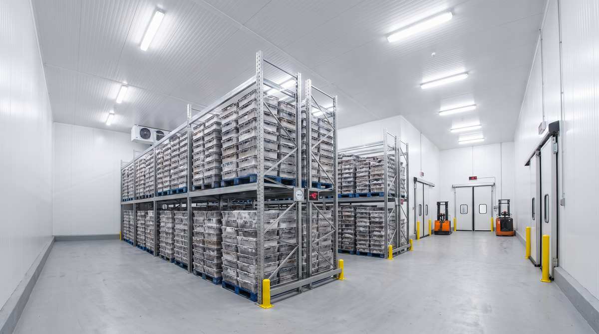 Surviving Tropical Heat & 90% Humidity: The Engineering Physics of Moisture-Proof Cold Storage Panels in Southeast Asia